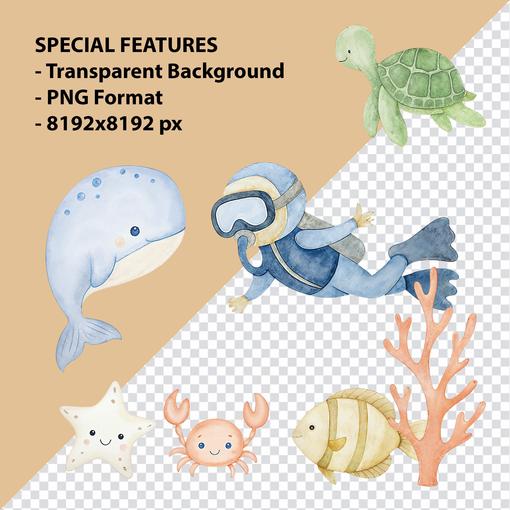 Watercolor Ocean Animals Clipart: Boho Nursery Ocean Themed Decor set of 55 PNG (Digital Product)